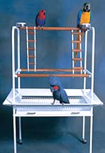 Parrots Play Stand London