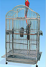 Stainless steel cages for Parrot