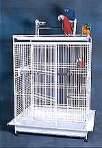 Parrots Play Stands