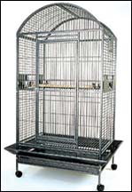 Cockatoos Play Stands